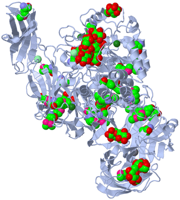 Image Biological Unit 1