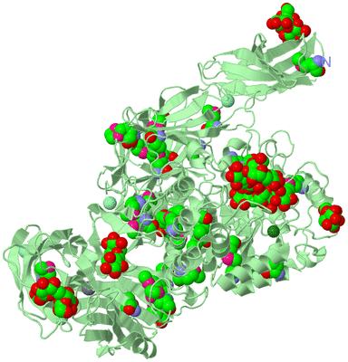 Image Biological Unit 2