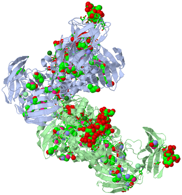 Image Asym. Unit - sites