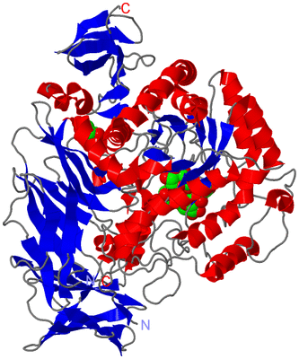 Image Asym./Biol. Unit