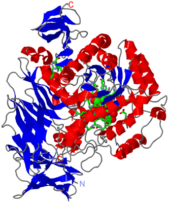 Image Asym./Biol. Unit - sites