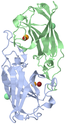 Image Asym./Biol. Unit