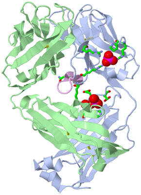 Image Biol. Unit 1 - sites