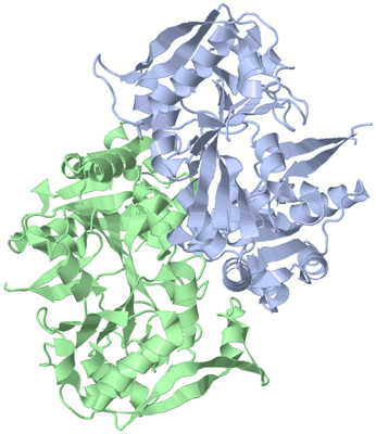 Image Asym./Biol. Unit