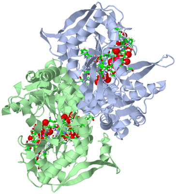 Image Asym./Biol. Unit - sites