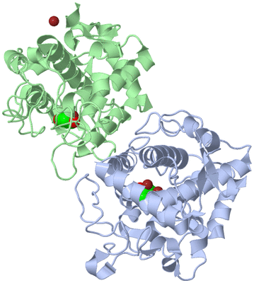 Image Asym./Biol. Unit