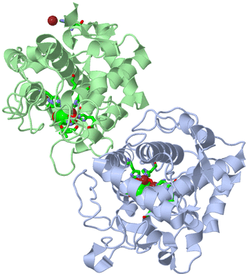 Image Asym./Biol. Unit - sites