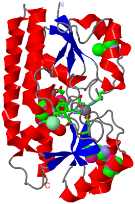 Image Asym./Biol. Unit - sites