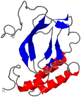 Image NMR Structure - model 1