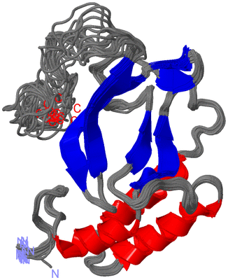 Image NMR Structure - all models