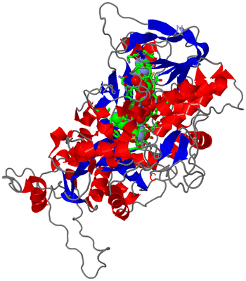 Image Asym. Unit - sites