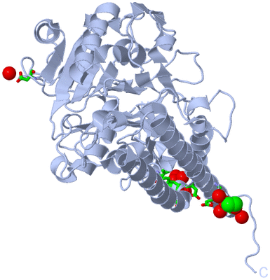 Image Biol. Unit 1 - sites