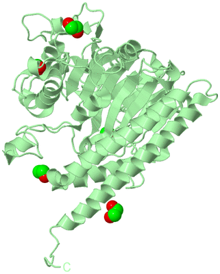 Image Biological Unit 2