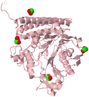 Image Biological Unit 3