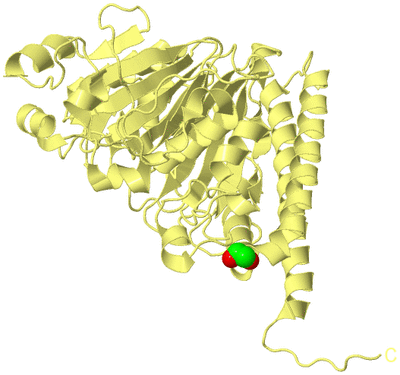 Image Biological Unit 4