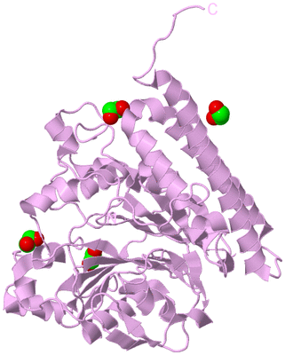 Image Biological Unit 5