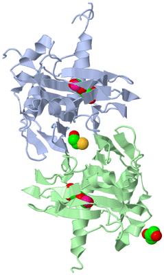 Image Asym./Biol. Unit