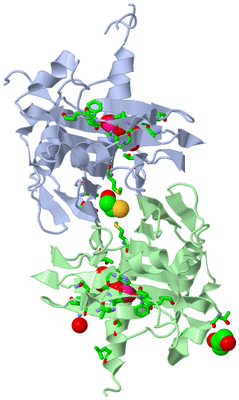 Image Asym./Biol. Unit - sites