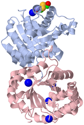 Image Biological Unit 1