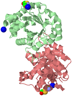 Image Biological Unit 2