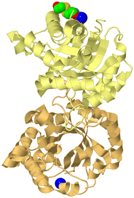 Image Biological Unit 3