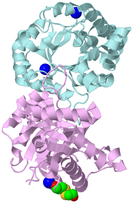 Image Biological Unit 4