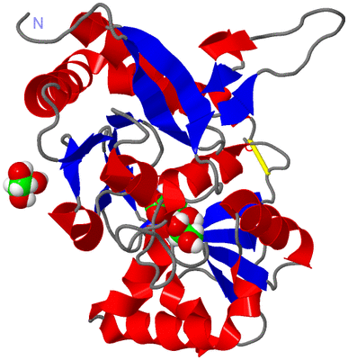 Image Asym./Biol. Unit