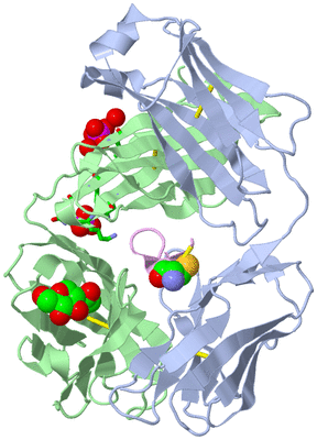 Image Biol. Unit 1 - sites