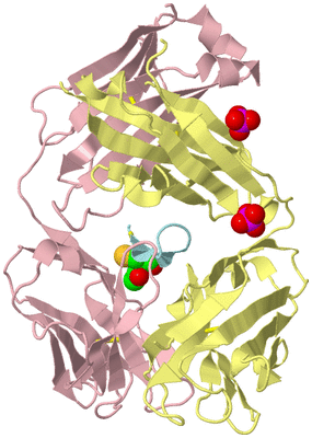 Image Biological Unit 2