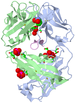 Image Biol. Unit 1 - sites