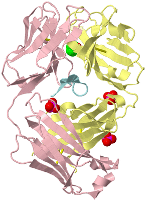 Image Biological Unit 2