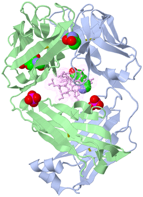 Image Biological Unit 1