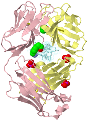 Image Biological Unit 2