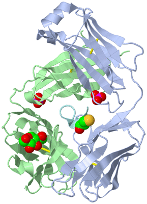 Image Biological Unit 1