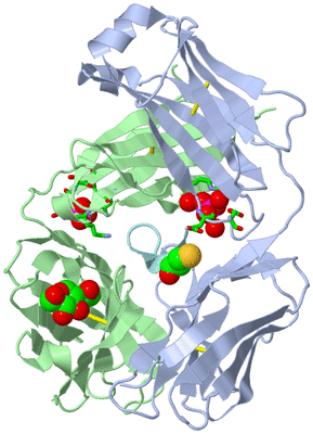 Image Biol. Unit 1 - sites