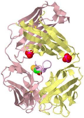 Image Biological Unit 2