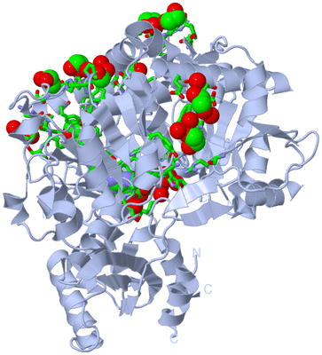 Image Biol. Unit 1 - sites