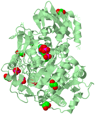 Image Biological Unit 2