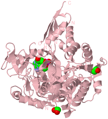 Image Biological Unit 3