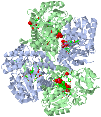 Image Biol. Unit 1 - sites