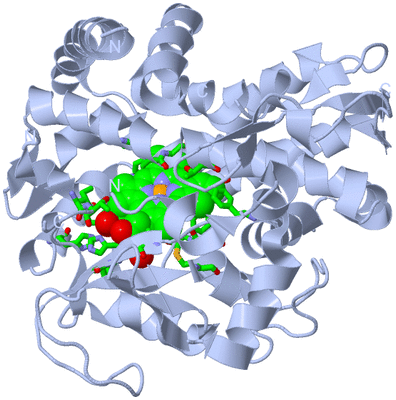 Image Biol. Unit 1 - sites