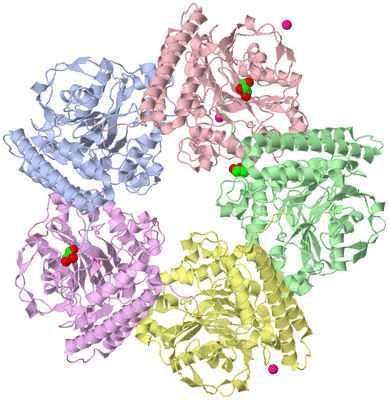 Image Biological Unit 1