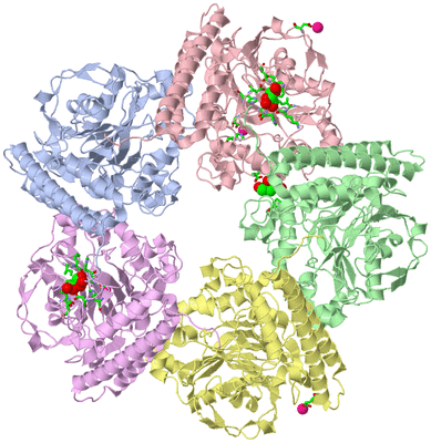 Image Biol. Unit 1 - sites