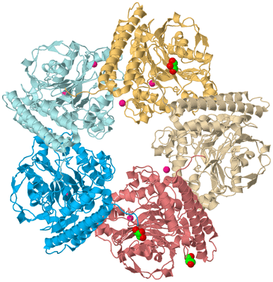 Image Biological Unit 2