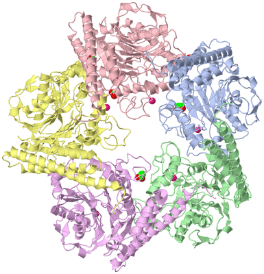 Image Asym./Biol. Unit