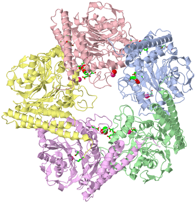 Image Asym./Biol. Unit - sites