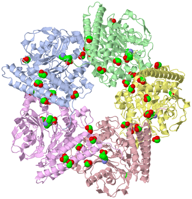 Image Asym./Biol. Unit