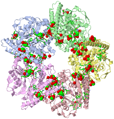 Image Asym./Biol. Unit - sites