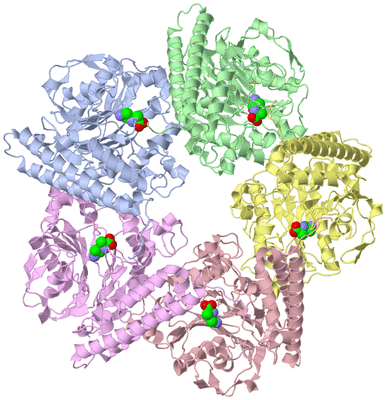 Image Asym./Biol. Unit