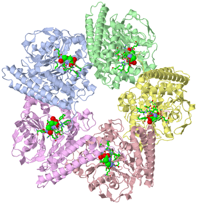 Image Asym./Biol. Unit - sites